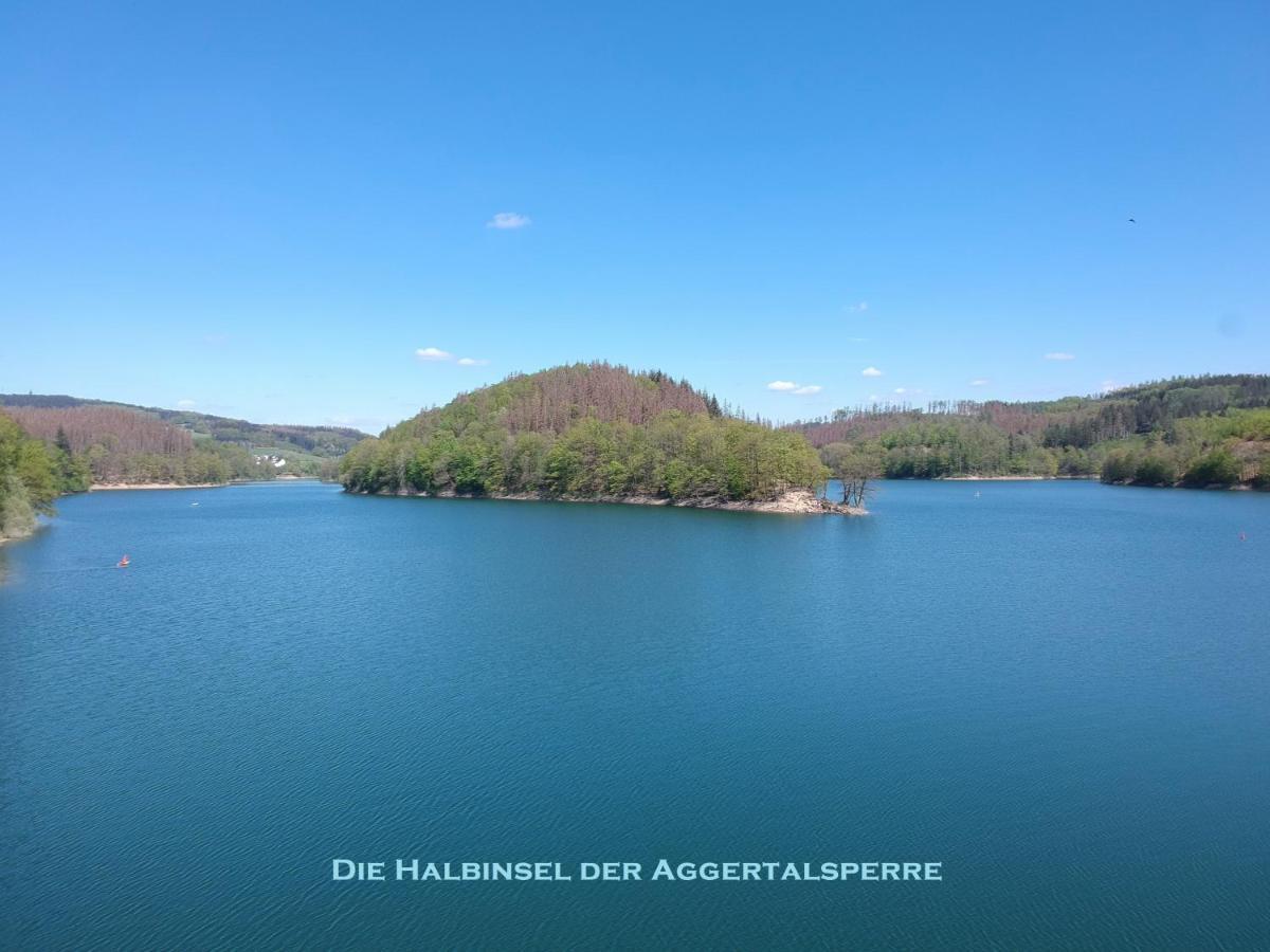 גומרסבך Seeblick-Ferienwohnung Im "Ferienhaus Agger-Blick" Mit Traumhafter Sonnen-Terrasse, Sauna, E-Kamin & Kajak מראה חיצוני תמונה